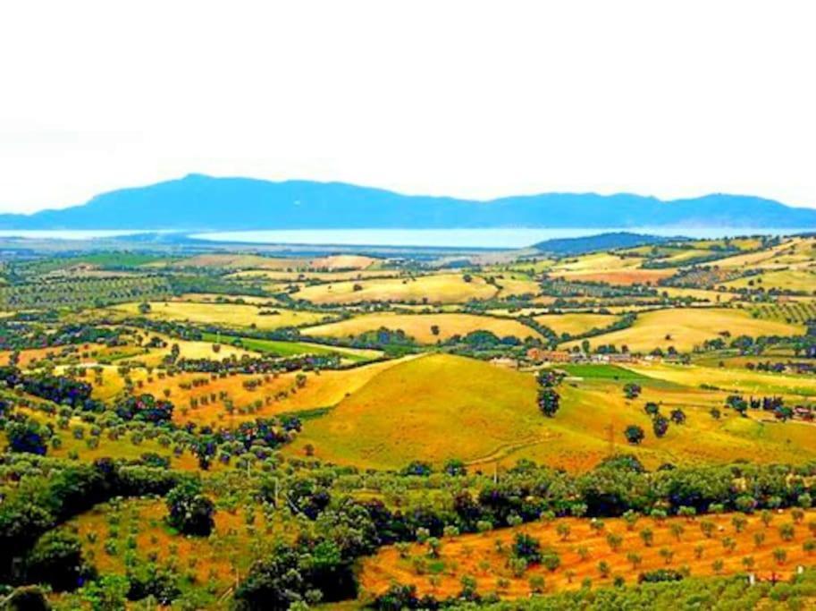Near The Sea Big Panoramic House 2 Terraces In Lovely Village Montiano (Tuscany) Exterior foto