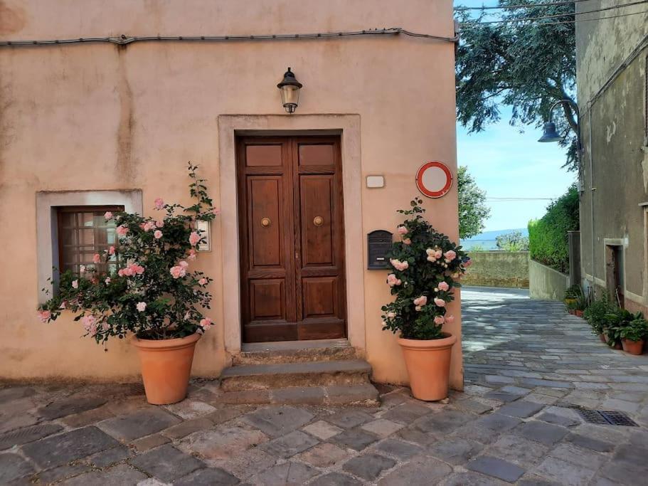 Near The Sea Big Panoramic House 2 Terraces In Lovely Village Montiano (Tuscany) Exterior foto