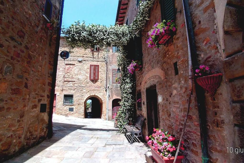 Near The Sea Big Panoramic House 2 Terraces In Lovely Village Montiano (Tuscany) Exterior foto