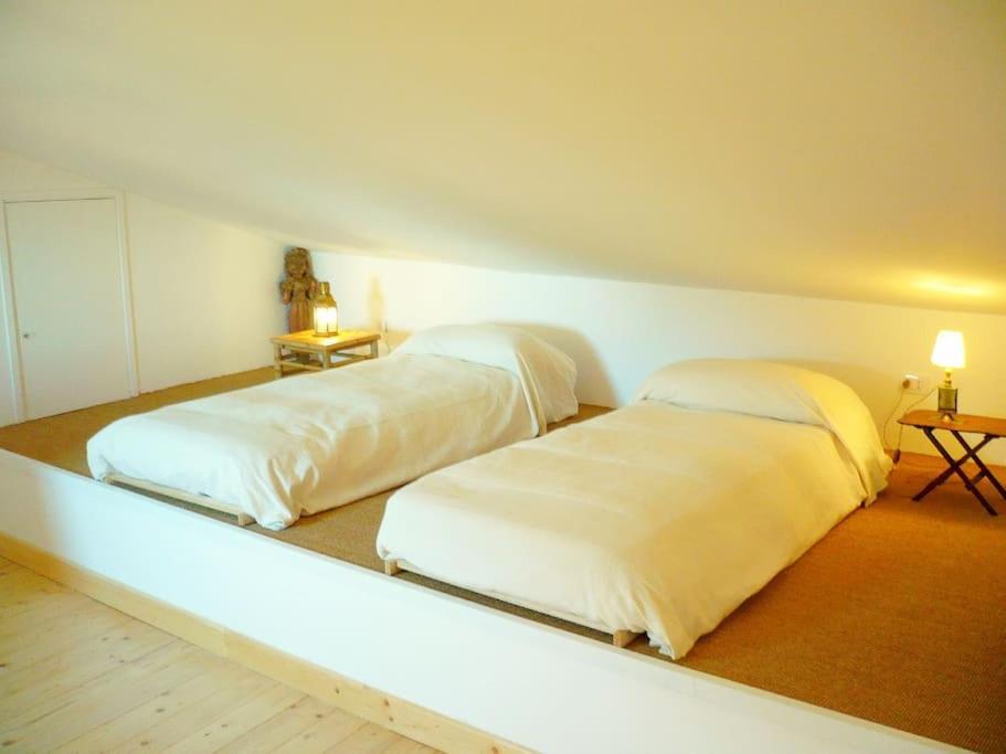 Near The Sea Big Panoramic House 2 Terraces In Lovely Village Montiano (Tuscany) Exterior foto